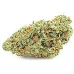 Шишки OG Kush (Гидропоника, бошки) VHQ в Барнауле Шишки OG Kush (Гидропоника, бошки) VHQ в Барнауле